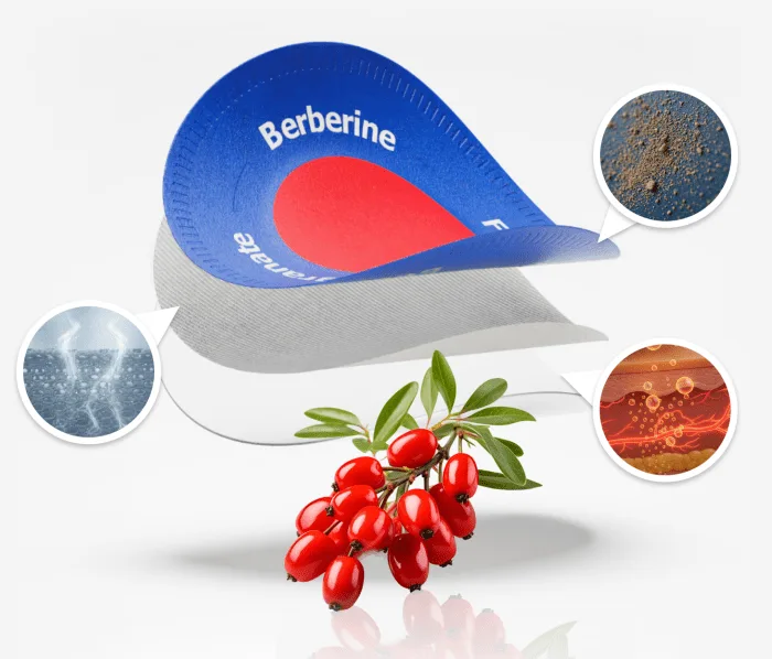 Purisaki Berberine Patch How It Works — Berberine Pomegranate Fucoxanthin Ingredients